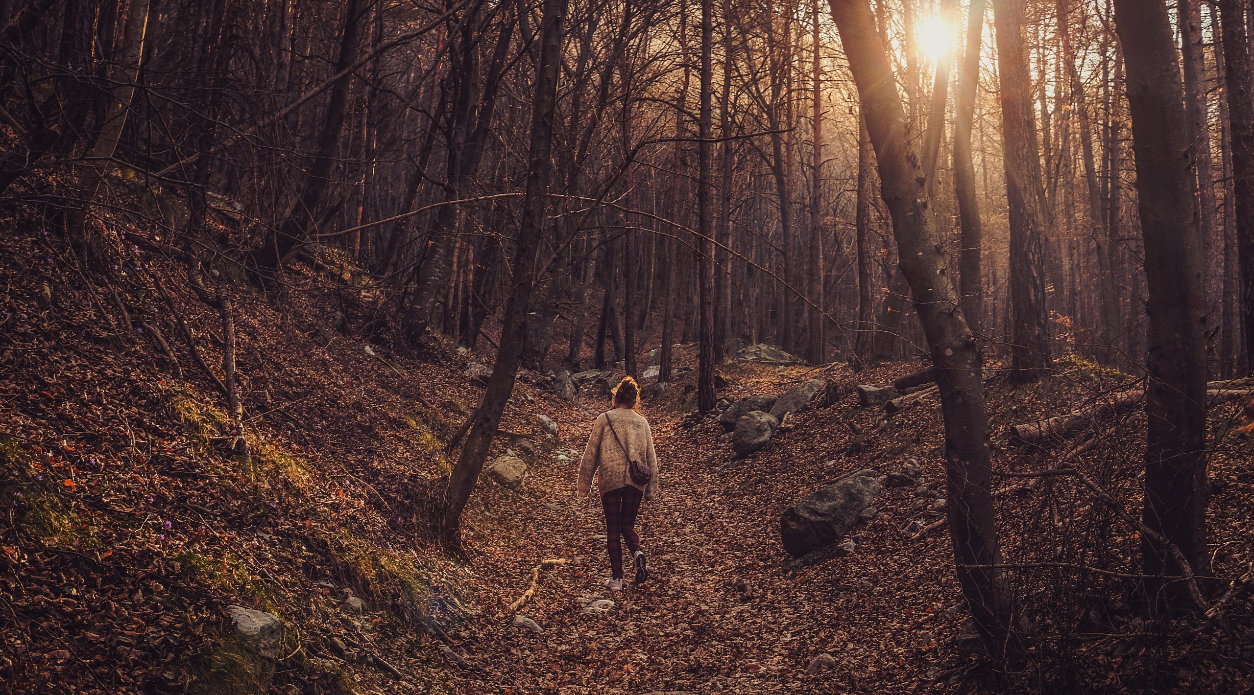 cristina-gottardi-p5JVzahHku0-unsplash A woman walking through a forest in autumn at sun set